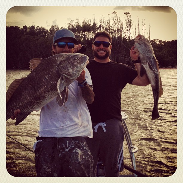 two fish